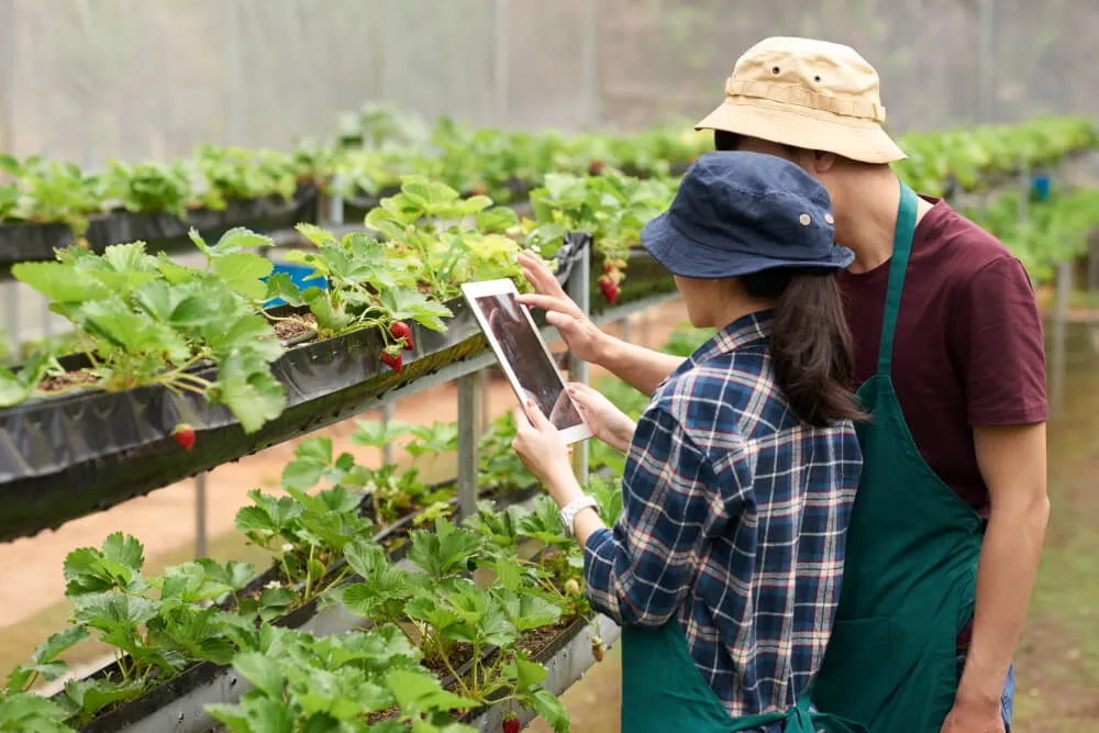 farmers using big data for agriculture